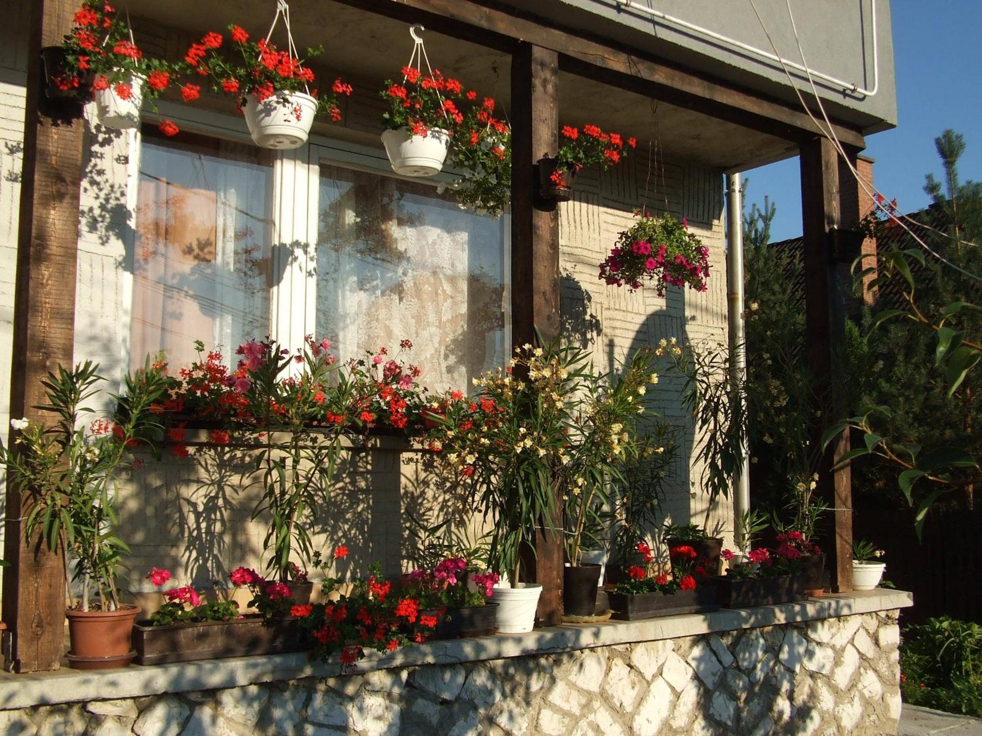 Napfeny Vendeghaz Apartment Miskolc Luaran gambar